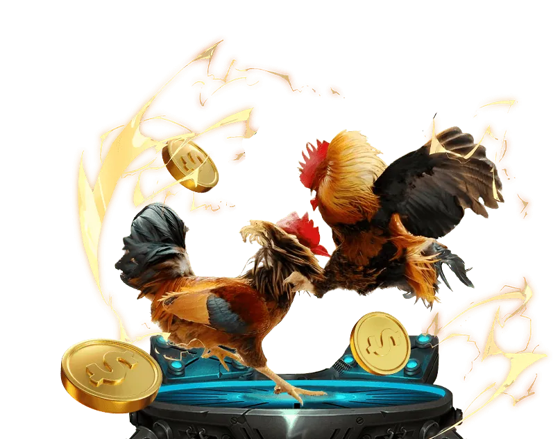 Biểu đồ quy tắc và luật lệ đá gà C1 với hình ảnh trọng tài và sân đấu